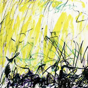 Click here to see works by Joan Mitchell