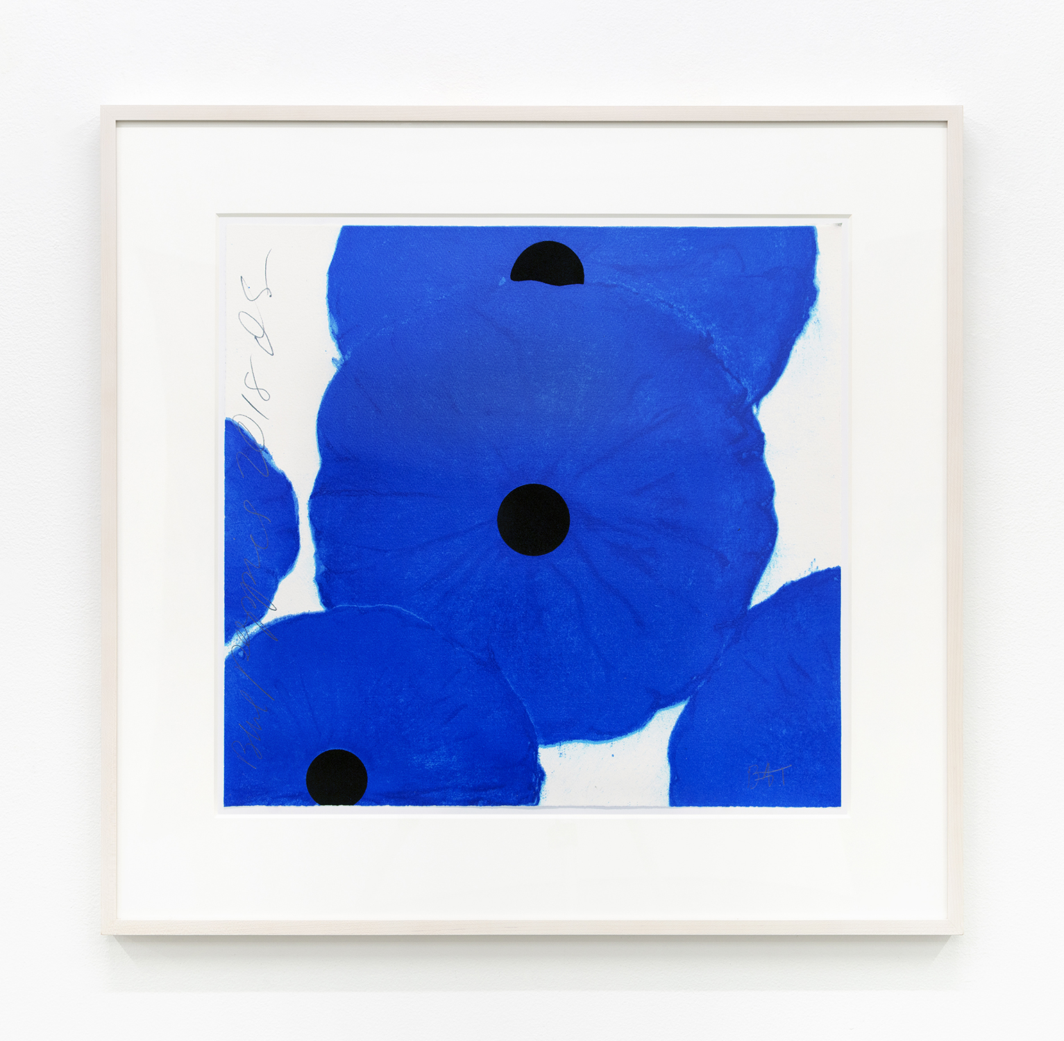 Blue Poppies, 2018 framed