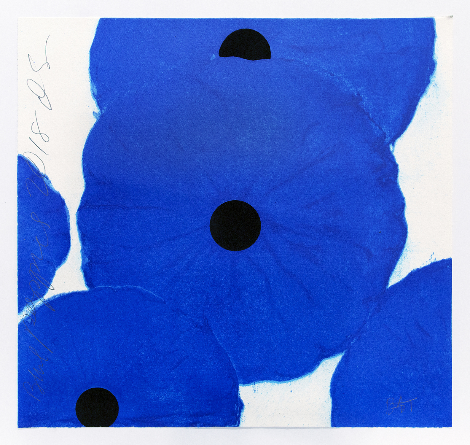 Blue Poppies, 2018, Screenprint in 11 colors with flocking, 19 x 20 inches (48.3 x 50.8 cm), Edition of 80