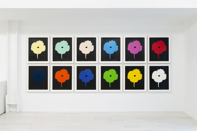 12 Colors installed