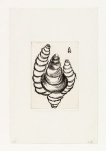 Untitled from Anatomy Portfolio (Maggots)