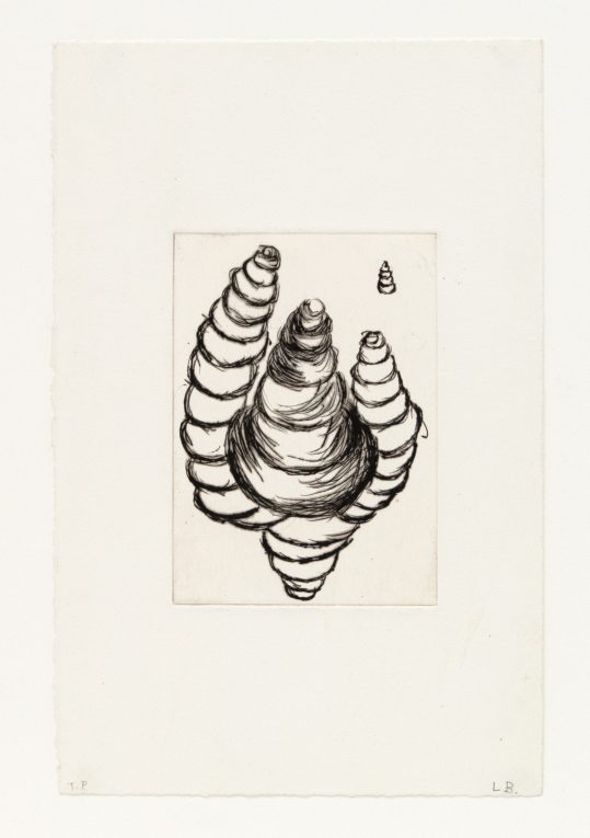 Untitled from Anatomy Portfolio (Maggots), 1989-1990, Etching, 14 x 9 1/2 inches (35.6 x 24.1 cm), Edition of 44