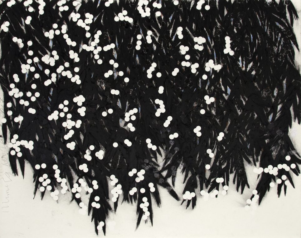 Mimosa, Nov 29, 2017, Conte crayon and charcoal on paper, 48 x 60 inches (121.9 x 152.4 cm)