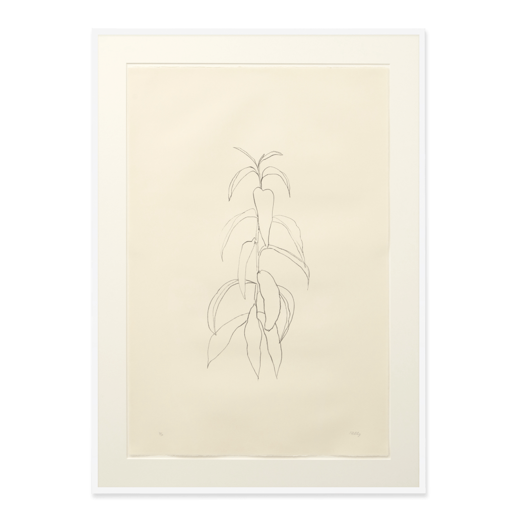 Peach Branch
