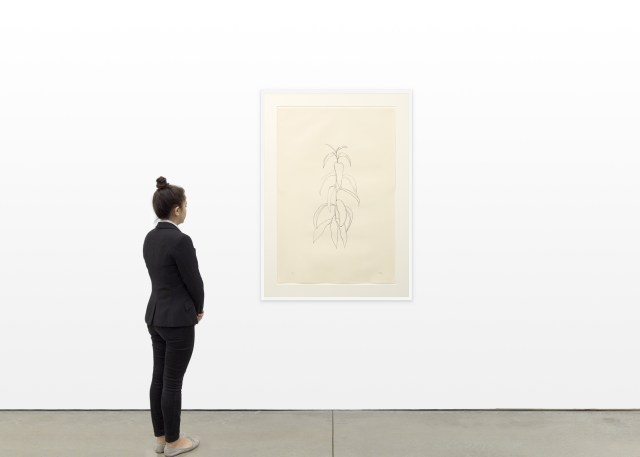Ellsworth Kelly Peach Branch, 1973-74 Lithograph 47 1/4 x 31 1/2 inches (120 x 80 cm) Edition of 50