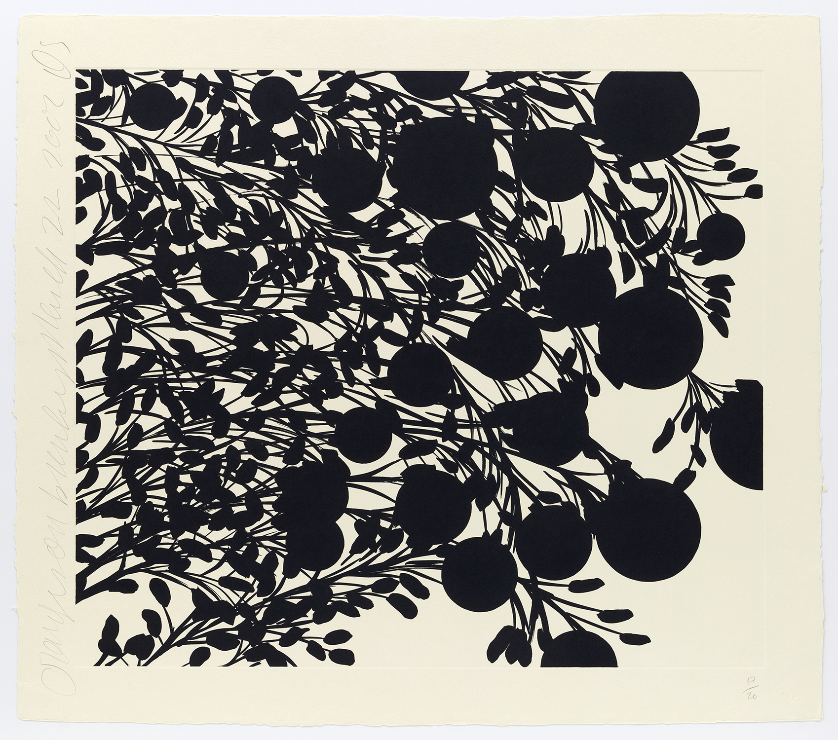 Oranges on Branches, March 22, 2002, 2002, Etching on handmade paper, 37 x 41 inches (94 x 104.1 cm), Edition of 20