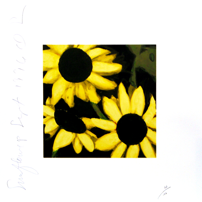 Sunflowers Sept 17, 1996, 1996, Silkscreen, 23 x 23 inches (58.4 x 58.4 cm), Edition of 100