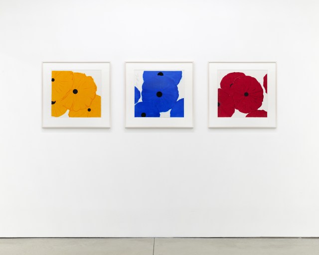 Yellow, Blue, Red Poppies framed