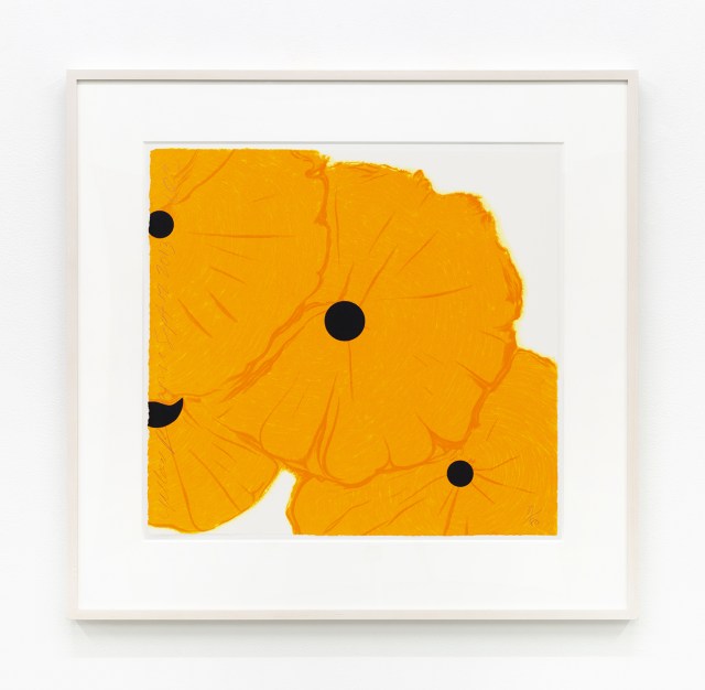 Yellow Poppies, September 12, 2013 framed