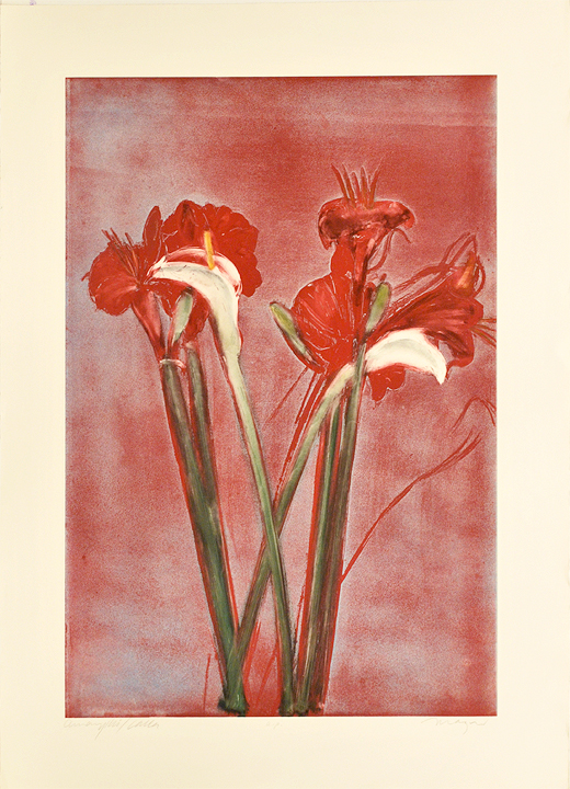 Amaryllis/Calla, 1982, Monoprint/Monotype, 44 1/2 x 31 1/2 inches (113 x 80 cm)