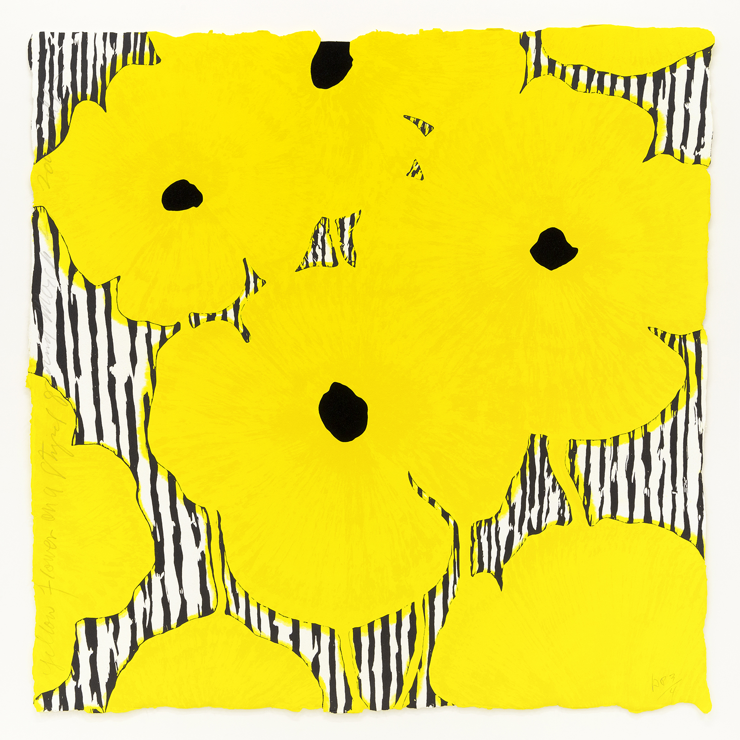 Yellow Flowers on a Striped Ground March, 27, 2002, 2002, Woodcut in five colors, sprayed paper pulp, and flocking on handmade paper 50 x 50 inches (127 x 127 cm) Edition of 12