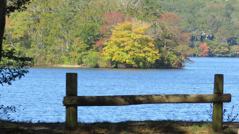 A view of Wakeby Pond, Eric Williams/Cape Cod Times