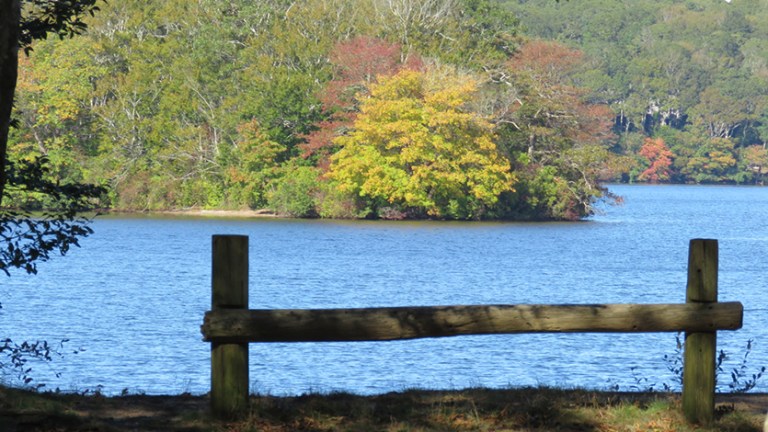 A view of Wakeby Pond, Eric Williams/Cape Cod Times