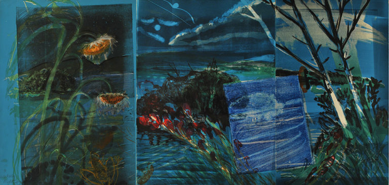 Wakeby Night, 1986