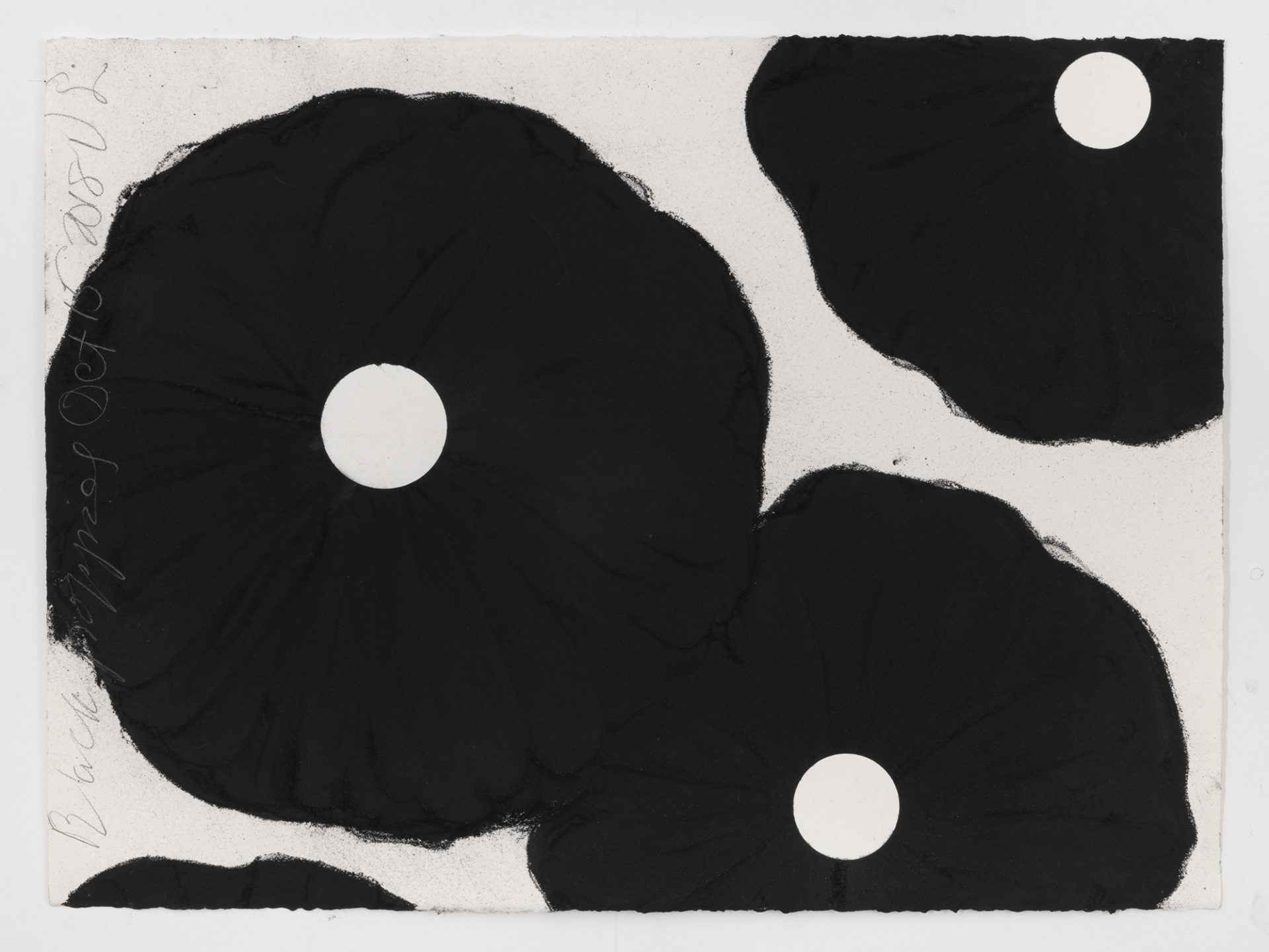 Donald Sultan Black Poppies Oct 15 2018, 2018 Conte crayon on paper 22 1/2 x 30 1/8 inches (57.2 x 76.5 cm)