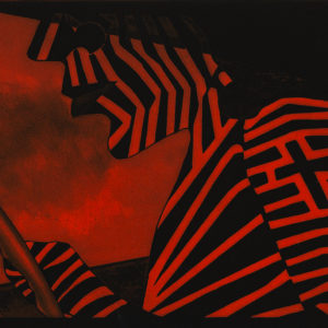 Click here to view the artists