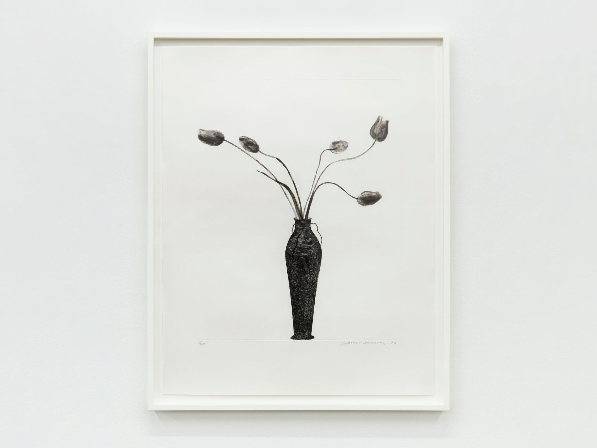 David Hockney, Tulips, 1973 Etching and aquatint Image Dimensions: 27 x 21 3/8 inches (68.6 x 54.3 cm) 36 x 28 1/8 inches (91.4 x 71.4 cm) Framed Dimensions: 38 3/4 x 31 inches (98.4 x 78.7 cm) Edition of 75
