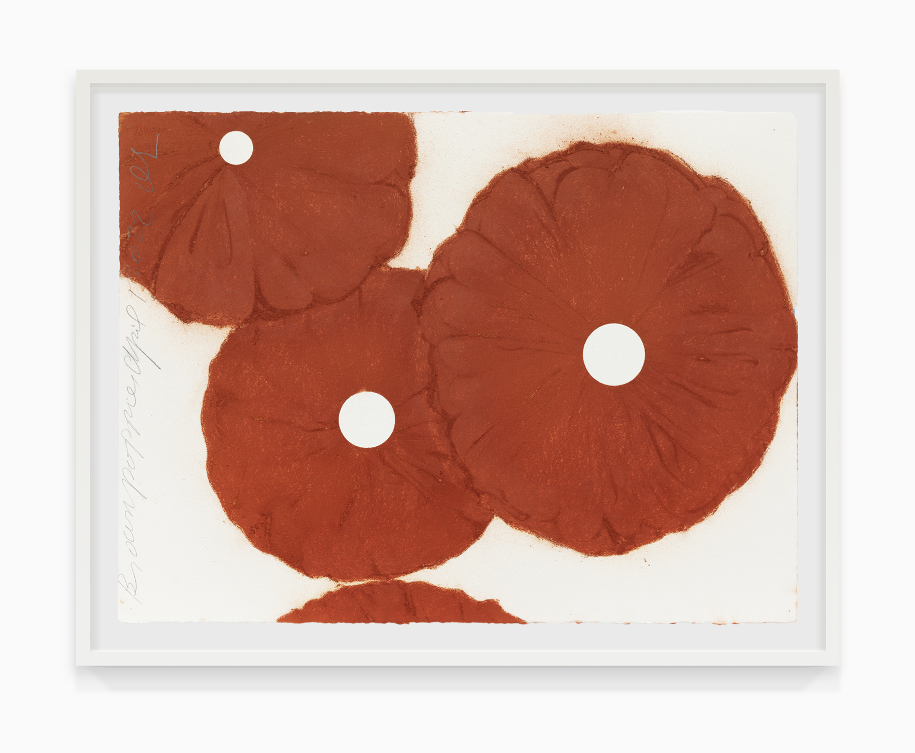 Donald Sultan Brown Poppies, April 1 2022, 2022 Conte on paper Paper Dimensions: 22 1/2 x 30 inches (57.2 x 76.2 cm) Framed Dimensions: 26 x 33 1/2 x 1 3/4 inches (66 x 85.1 x 4.4 cm)