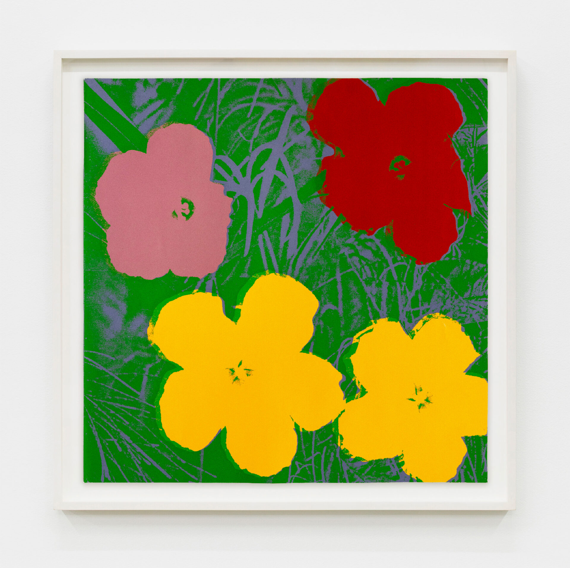 Andy Warhol Flowers (F. & S. II.65), 1970 Screenprint Paper Dimensions: 36 x 36 inches (91.4 x 91.4 cm) Framed Dimensions: 39 1/8 x 39 1/8 inches (99.4 x 99.4 cm) Edition of 250