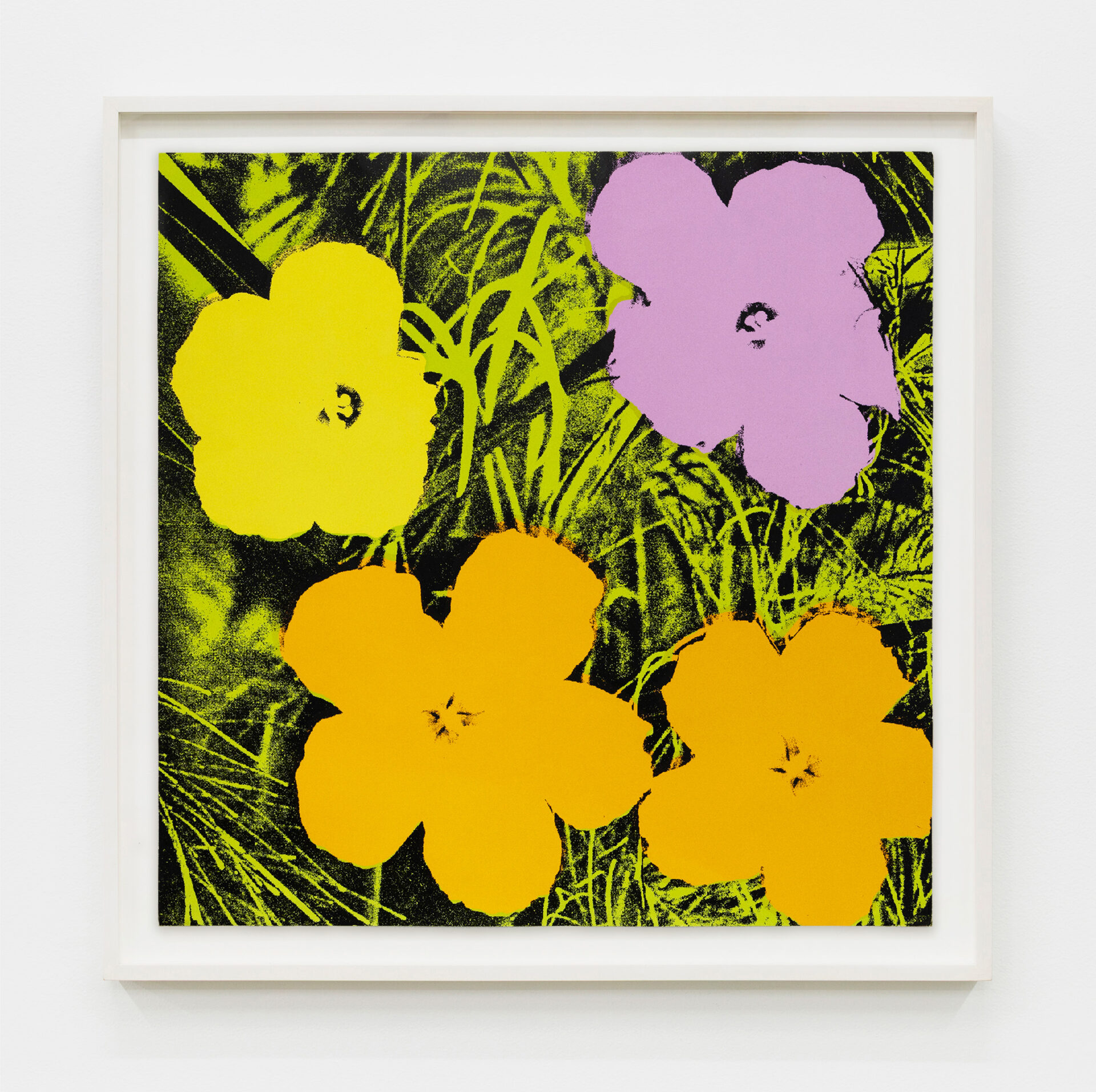 Andy Warhol Flowers (F. & S. II.67), 1970 Screenprint Paper Dimensions: 36 x 36 inches (91.4 x 91.4 cm) Framed Dimensions: 39 1/8 x 39 1/8 inches (99.4 x 99.4 cm) Edition of 250