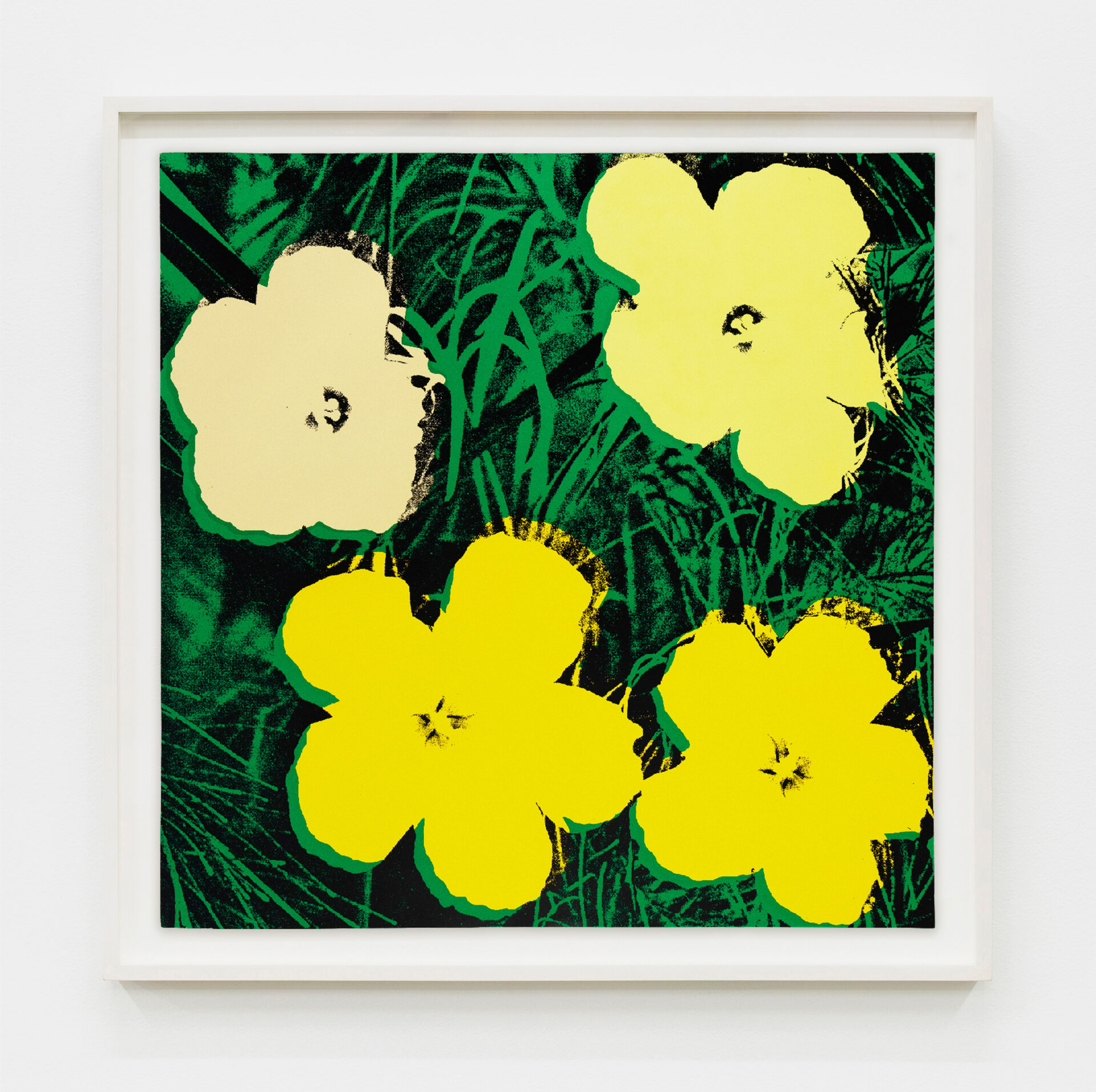 Andy Warhol Flowers (F. & S. II.72), 1970 Screenprint Paper Dimensions: 36 x 36 inches (91.4 x 91.4 cm) Framed Dimensions: 39 1/8 x 39 1/8 inches (99.4 x 99.4 cm) Edition of 250