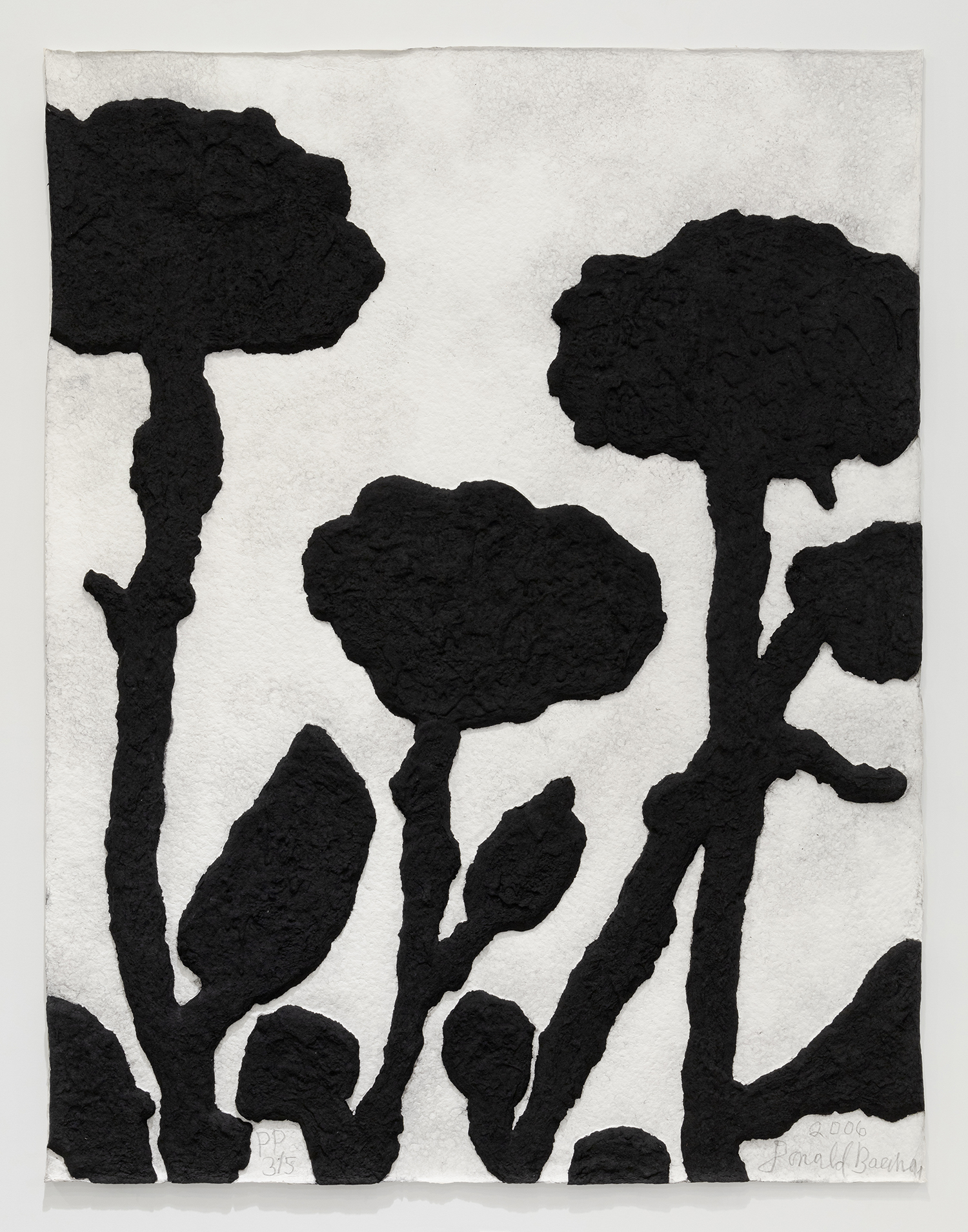 Donald Baechler Cast Flowers, 2006 Cast and dyed paper 38 1/2 x 30 inches (97.8 x 76.2 cm) Edition of 35