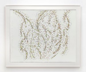 Spring Mimosas May 16 2024