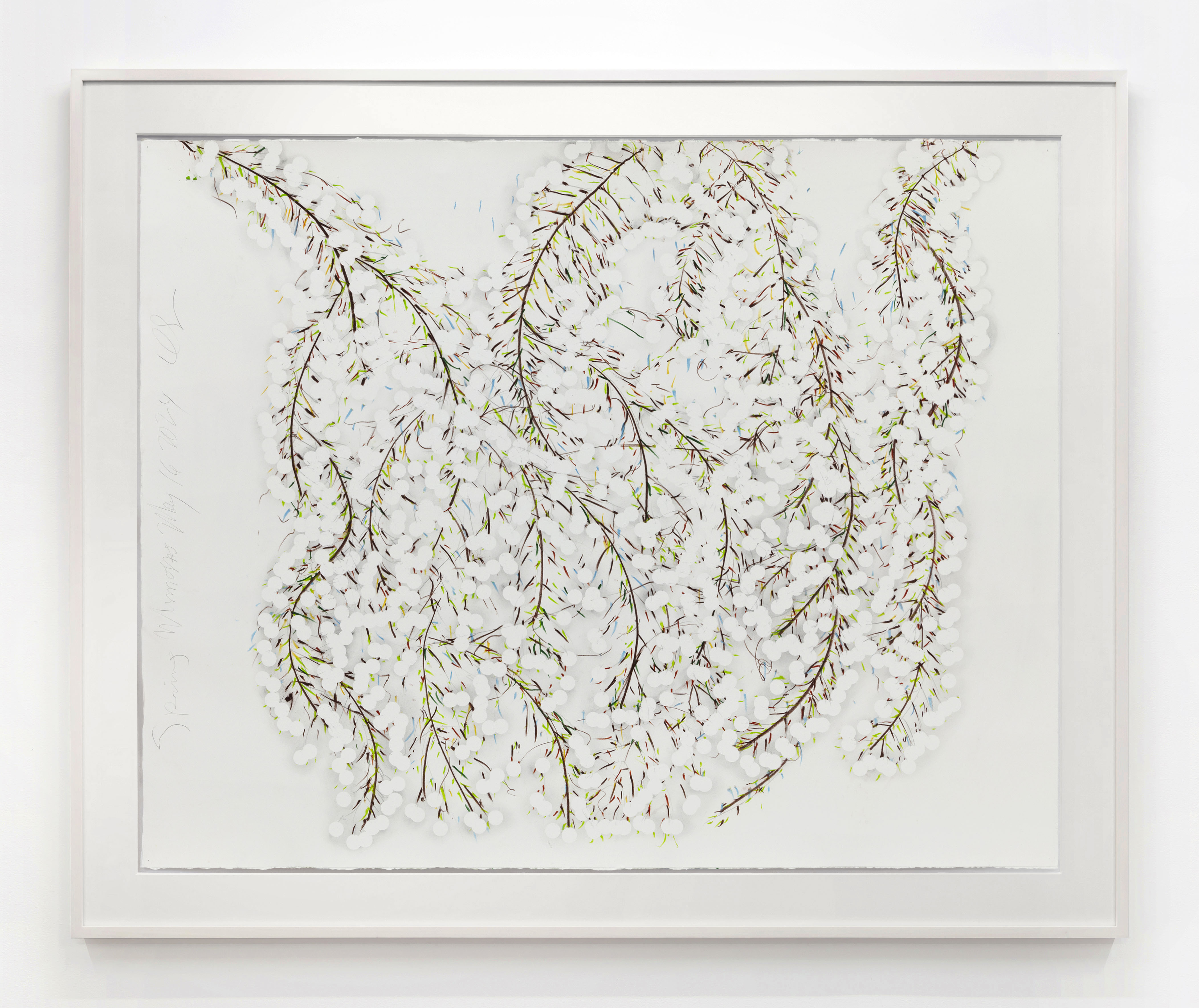 Donald Sultan Spring Mimosas May 16 2024, 2024 Conté and graphite on paper Paper Dimensions: 48 x 60 inches (121.9 x 152.4 cm) Framed Dimensions: 58 x 70 inches (147.3 x 177.8 cm)