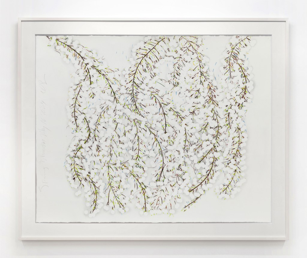 Donald Sultan Spring Mimosas May 16 2024, 2024 Conté and graphite on paper Paper Dimensions: 48 x 60 inches (121.9 x 152.4 cm) Framed Dimensions: 58 x 70 inches (147.3 x 177.8 cm)