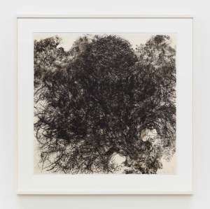 Untitled (Hair)