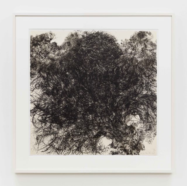 Kiki Smith Untitled (Hair), 1990 Lithograph on handmade paper Paper Dimensions: 35 3/4 x 36 inches (90.8 x 91.4 cm) Edition of 54