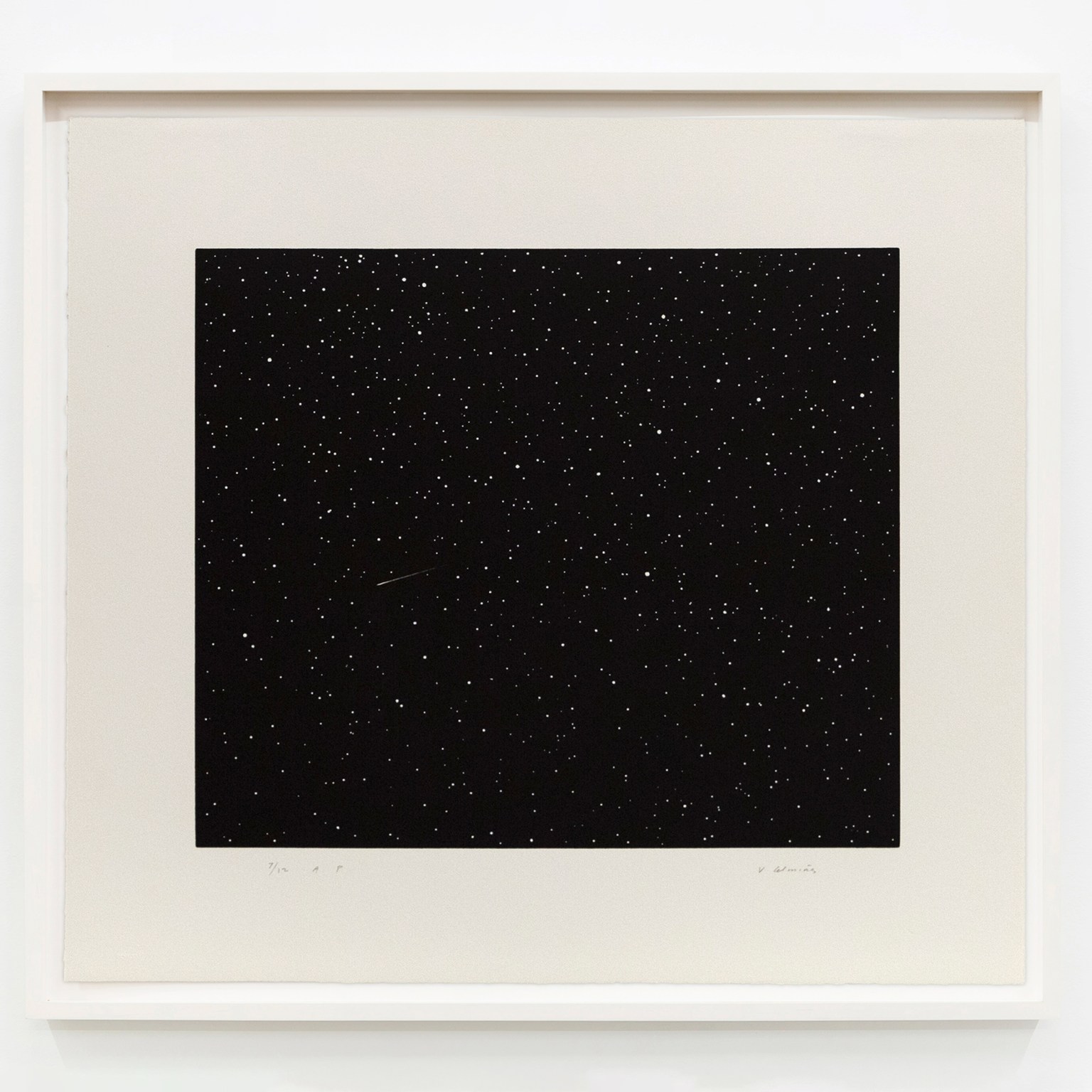 vija celmins squared