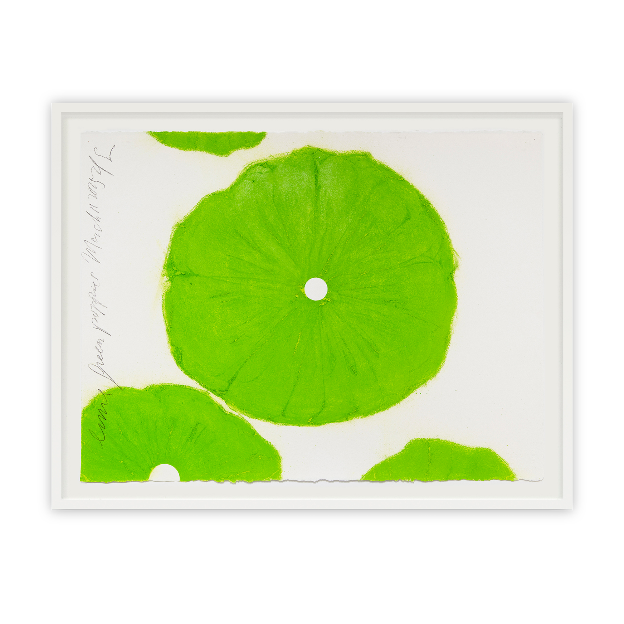 Donald Sultan Lime Green Poppies March 11 2025, 2025 Conté on paper 22 x 30 inches (57.2 x 76.2 cm)