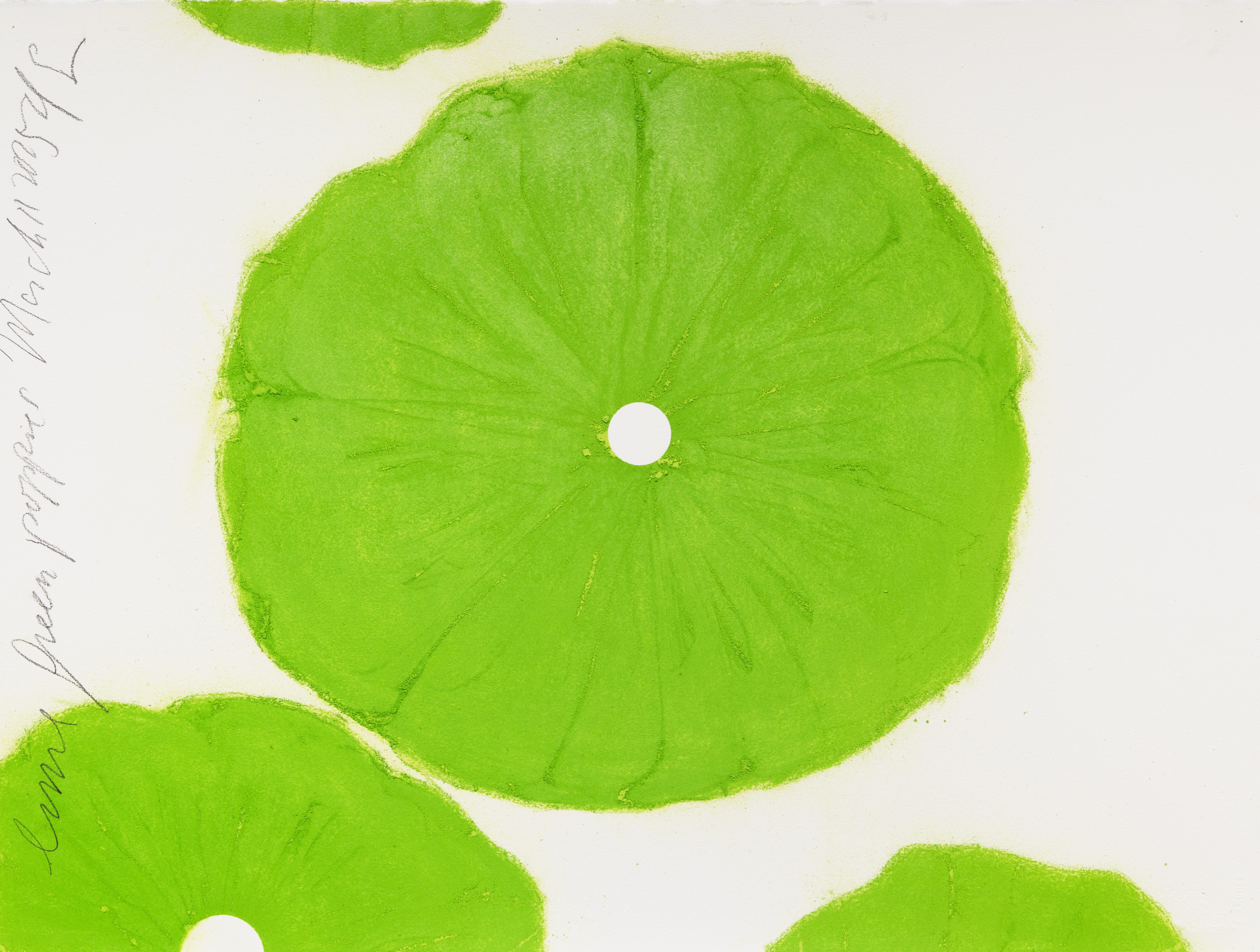 dsu Lime Green Poppies March 11 2025 HR