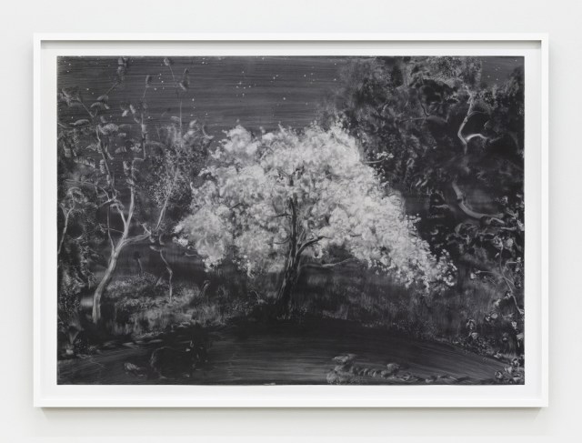 Night Blossom